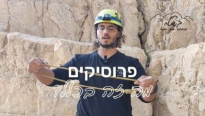 פרוסיקים מה זה בכלל